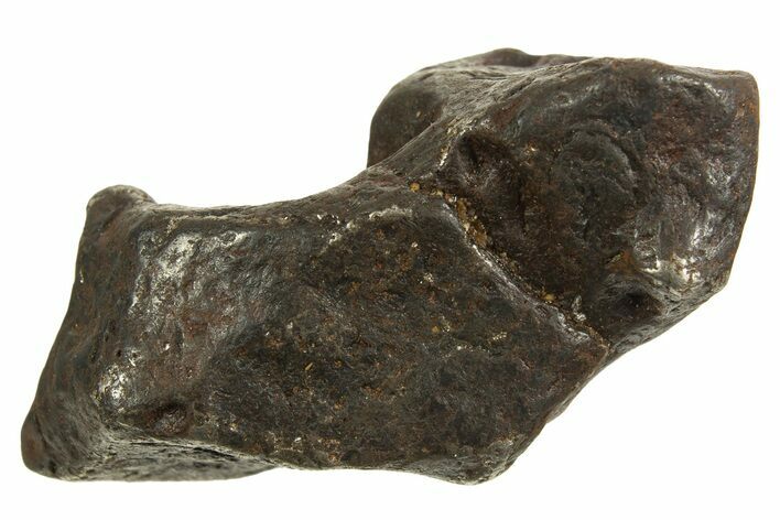 Canyon Diablo Iron Meteorite ( g) - Arizona #335940